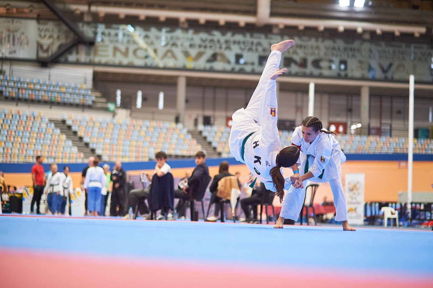 Pareja juvenil femenina realizando una proyección de Hapkido