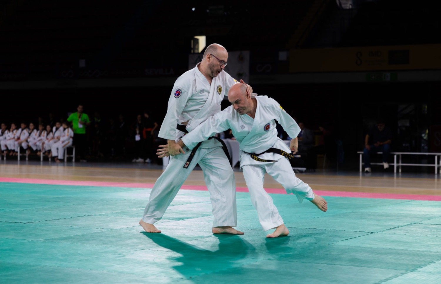 Demostración técnica de Hapkido en categoría máster