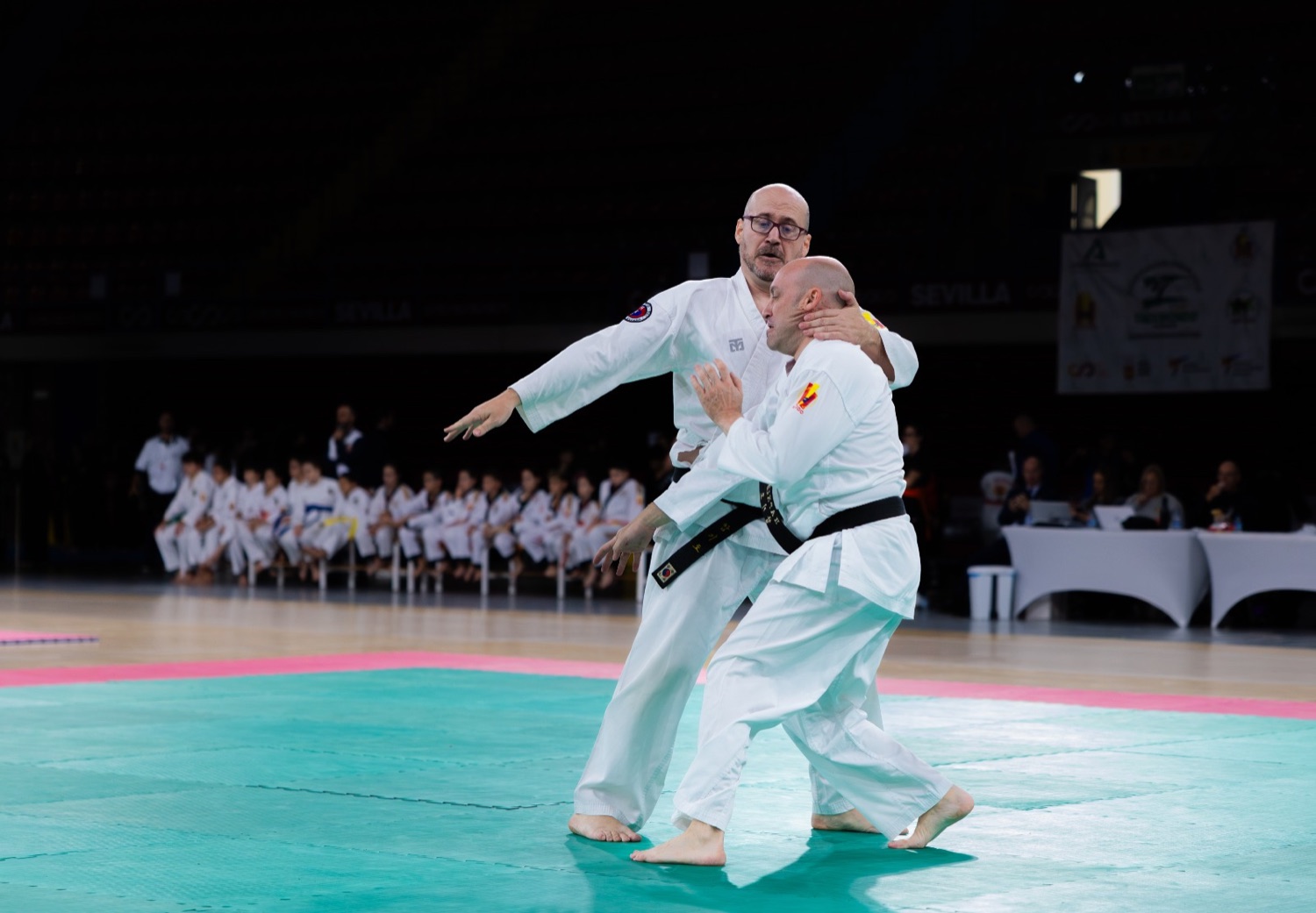 Pareja máster de Hapkido realizando un control durante una demostración