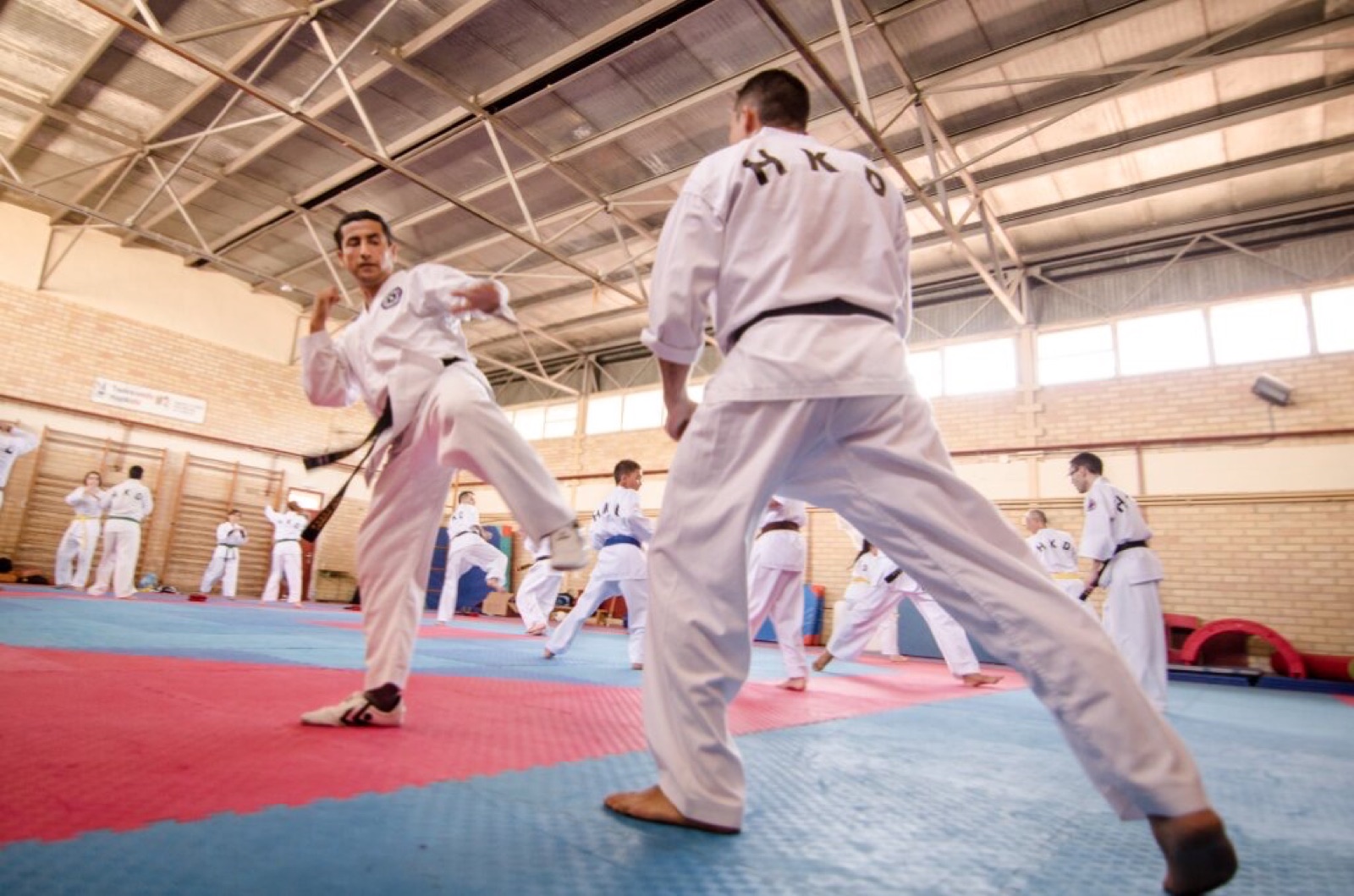 Miembros de Hapkido SaChung practicando por parejas durante un seminario