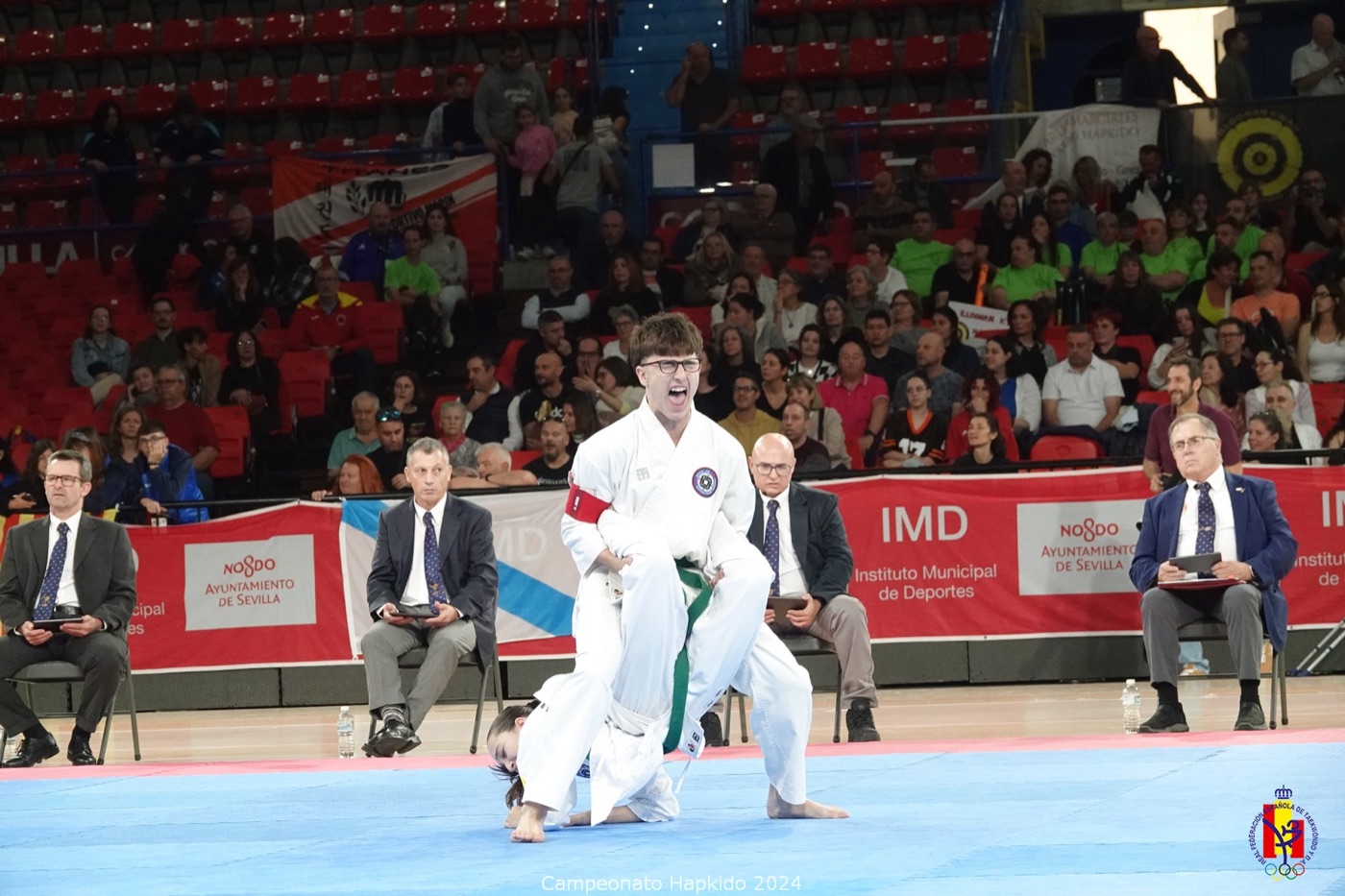 Deportista de Hapkido SaChung ejecutando una técnica en competición