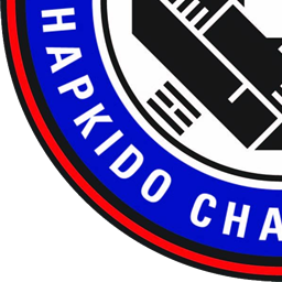 Cuadrante inferior izquierdo del escudo de Hapkido SaChung